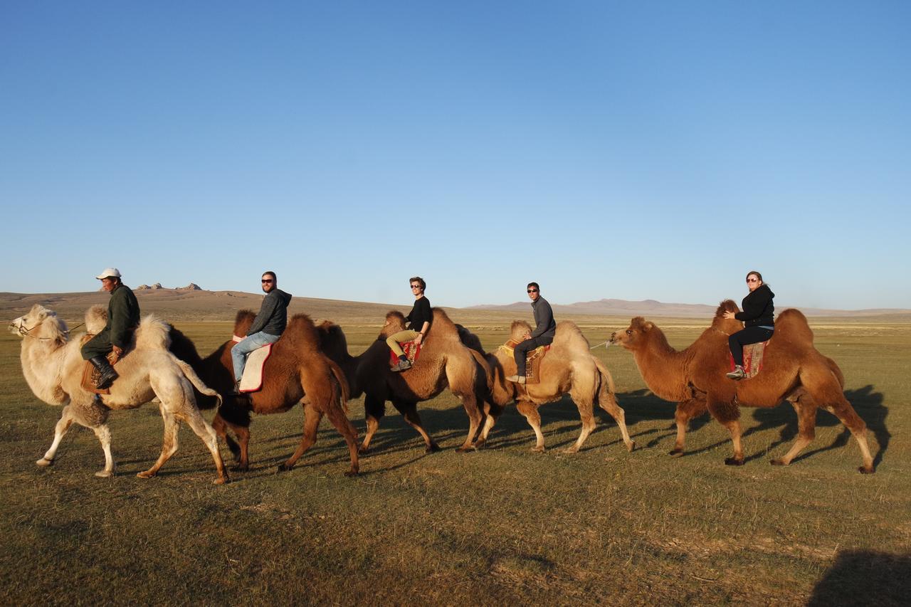 Gobi - Zen Hotel Ulaanbaatar Luaran gambar